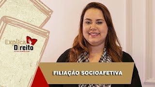 Explica Direito Filiação Socioafetiva  2019 [upl. by Aihsak]