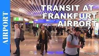 TRANSIT WALK AT FRANKFURT Airport FRA Terminal 1  Connection Flight Transfer Arriving amp Departing [upl. by Melloney]